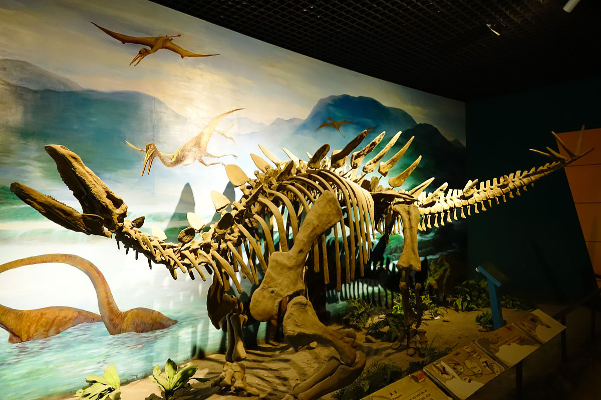 今天到禄丰恐龙谷的游记