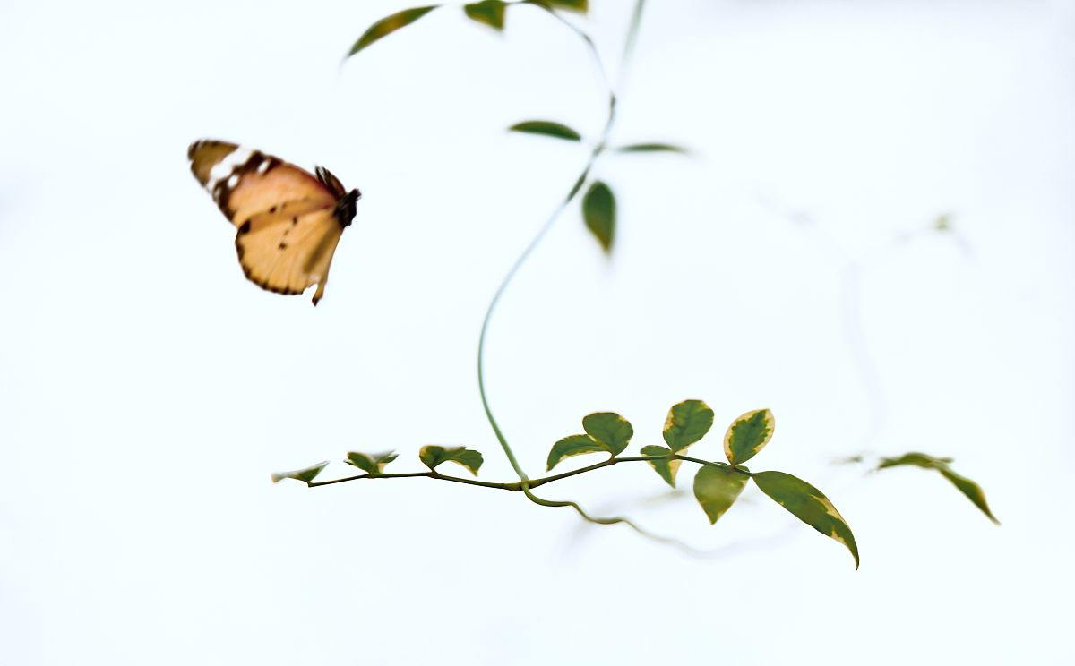 泉州外国语学校洛江校区晚上接学生时间回答加拓展。