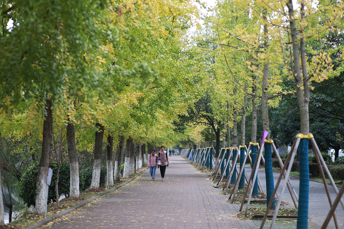 重庆三峡联合职业大学计算机维修专业怎么样？ - 教学质量和就业前景分析