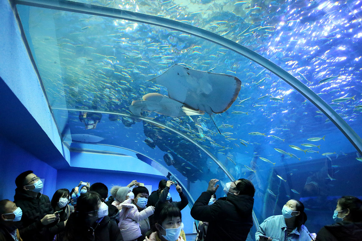 烟台船舶工业学校2021年招生计划：500人名额，多个专业等你报考