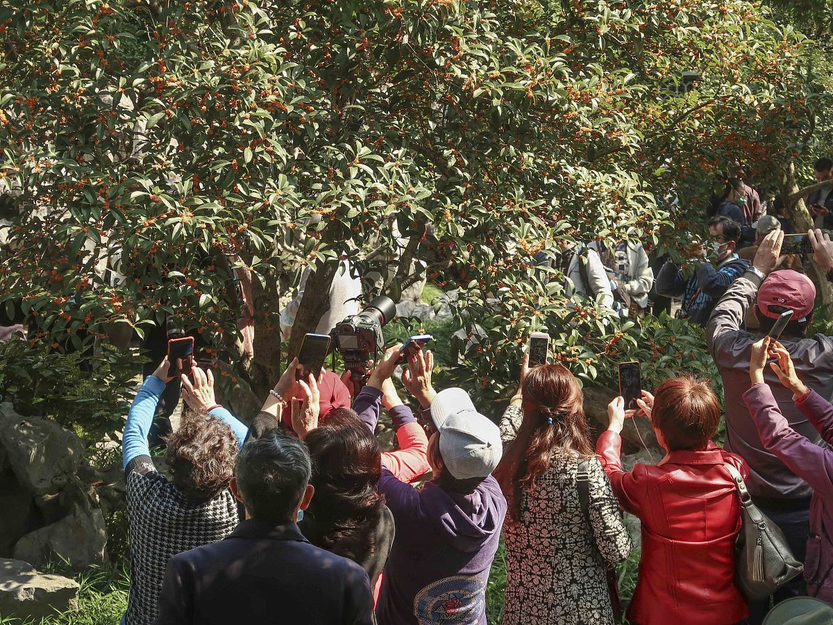 春季中国哪里旅游好玩