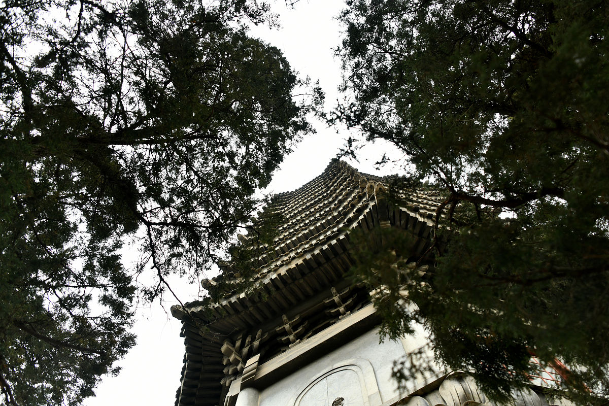 漫步燕园：探索北大醉人风景