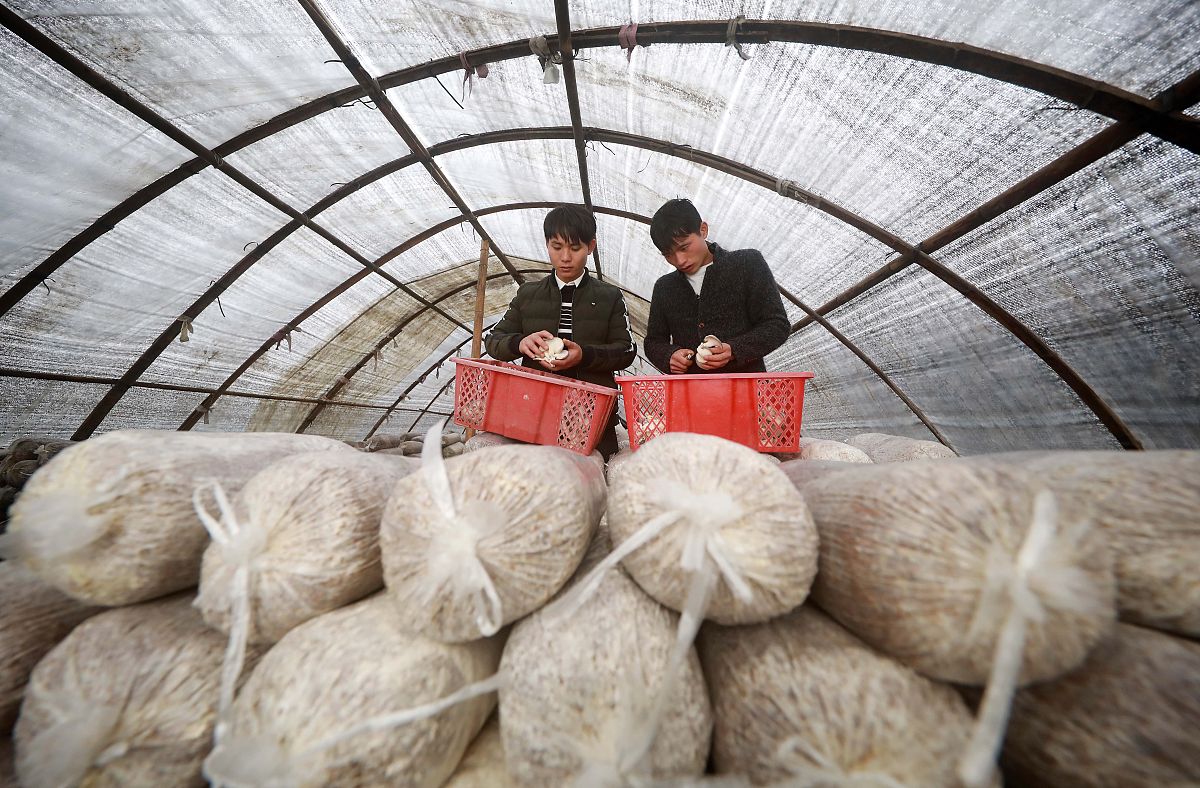 兴仁民族幼师职业技术学校2019招生简章