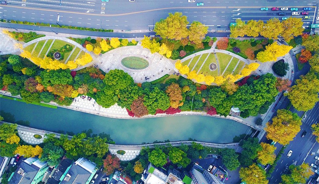 请以安徽铜陵西湖新区市政道路绿化带景观设计为主题创作一篇毕业论文