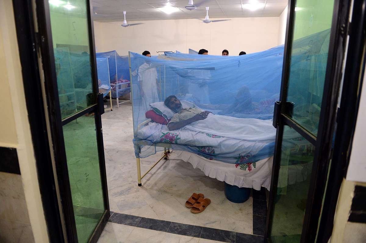 犬凝血因子Ⅷ缺乏症临床表现