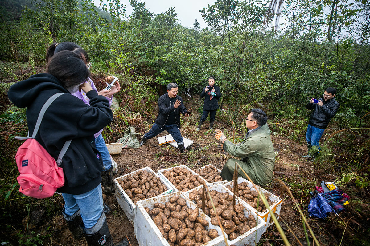 毕节七星关中等职业学校2023年招生简章