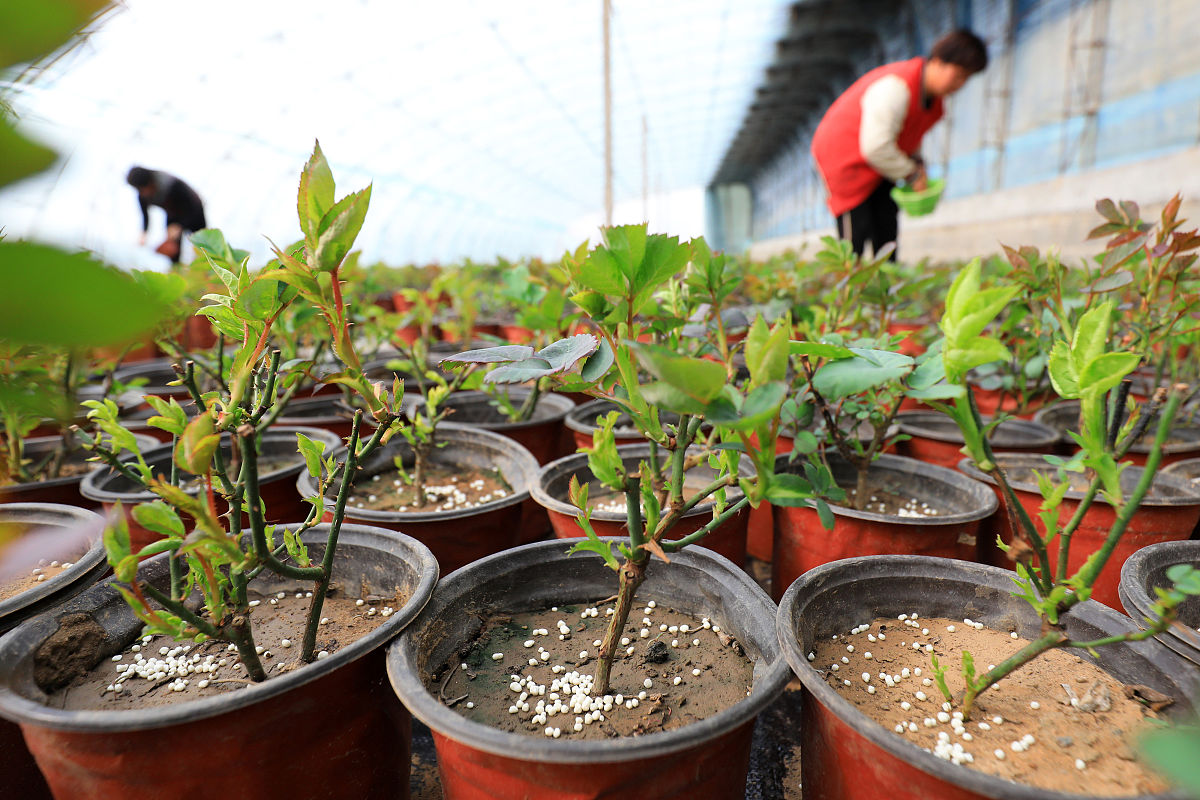 河北省唐山市物业管理证书怎么考？证书需要多少钱？
