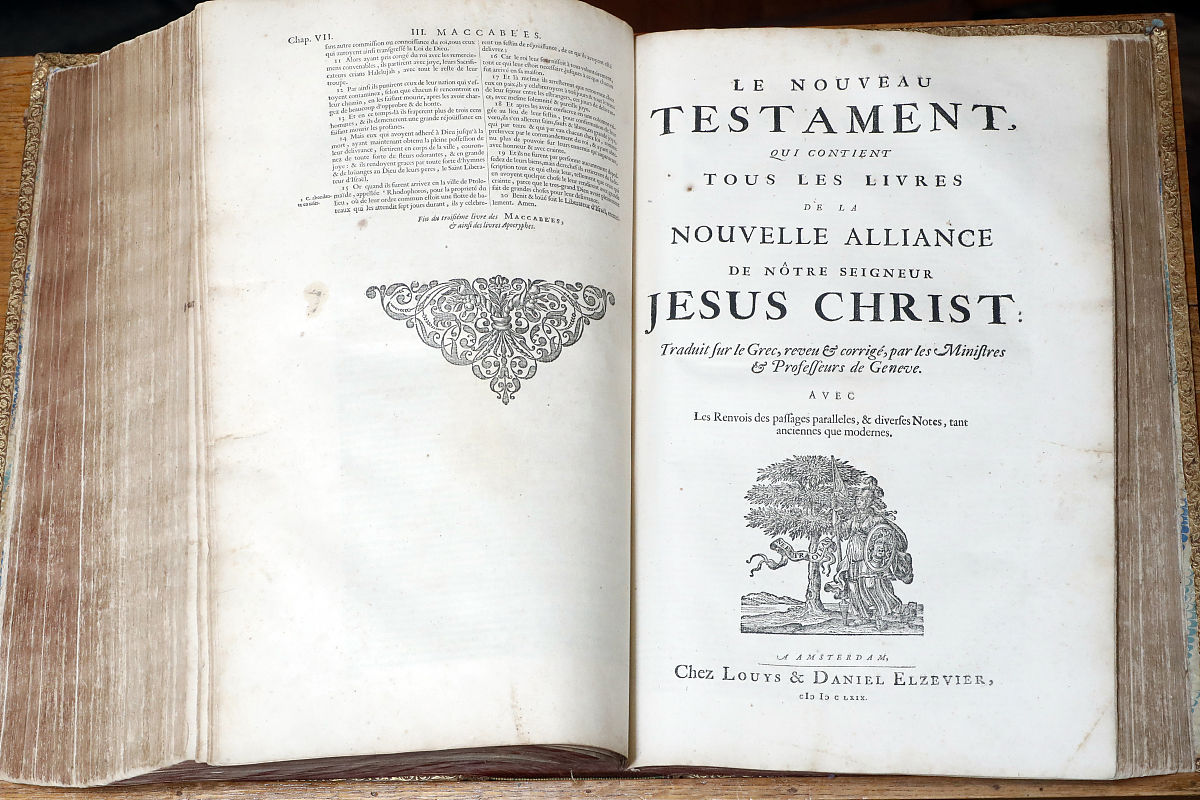 奥德赛第九卷：从奥德修斯的冒险中汲取的人生智慧