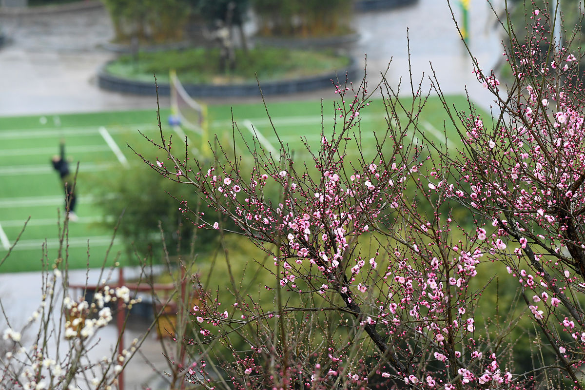 遵义航空专业学校就业前景分析：2022年毕业生找工作难吗？