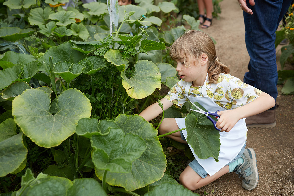 重庆幼儿师范高等专科学校早期教育专业可选择哪些就业方向