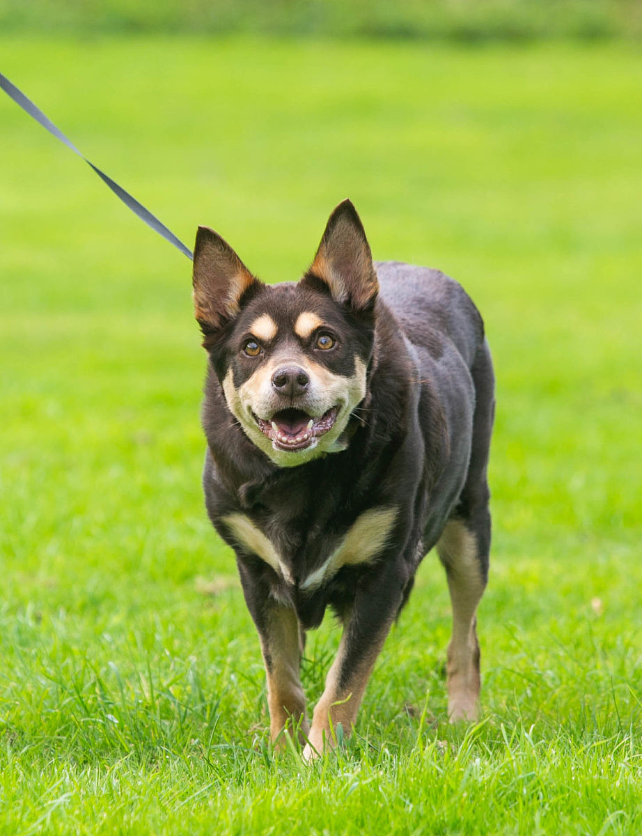 有效减肥方法：科学指南助你轻松瘦身