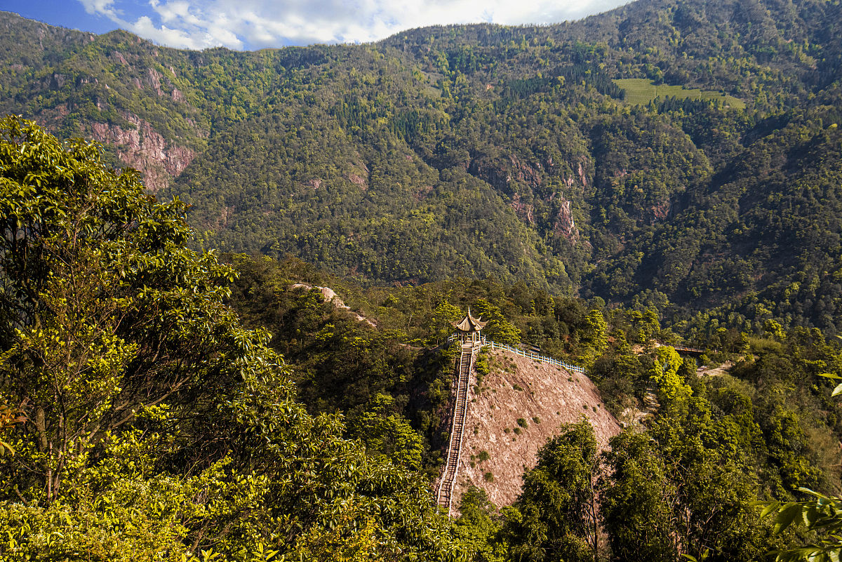 乐清雁荡山旅游学校2021年有哪些专业招生