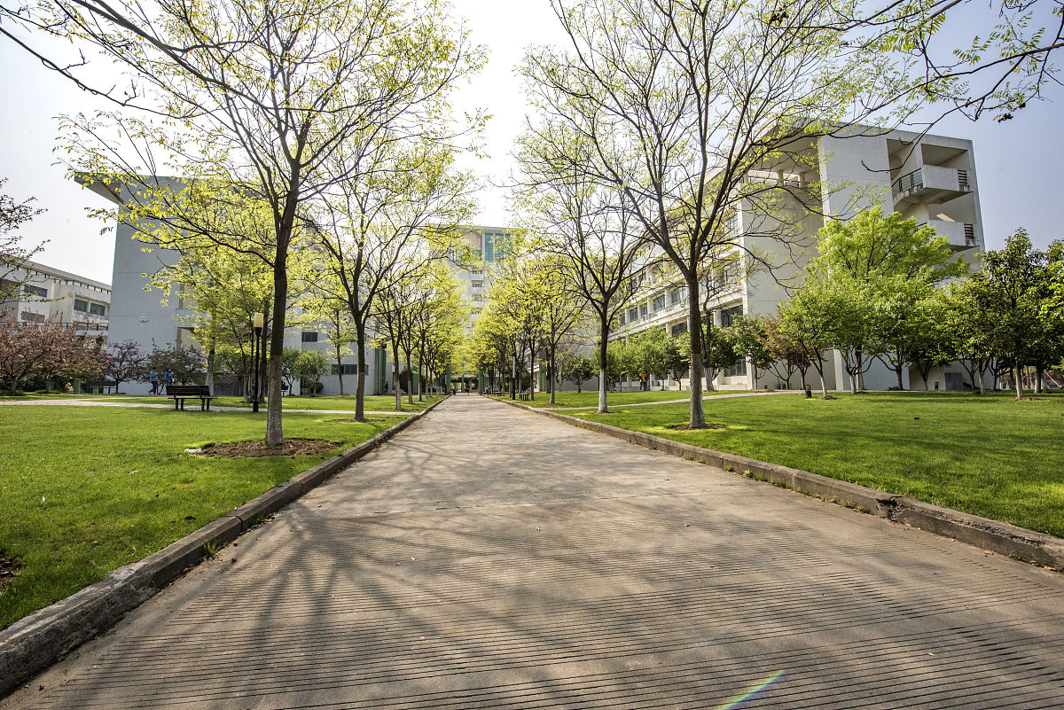 南通理工学院强能楼北面空地改造成花园中发现问题并改造问题