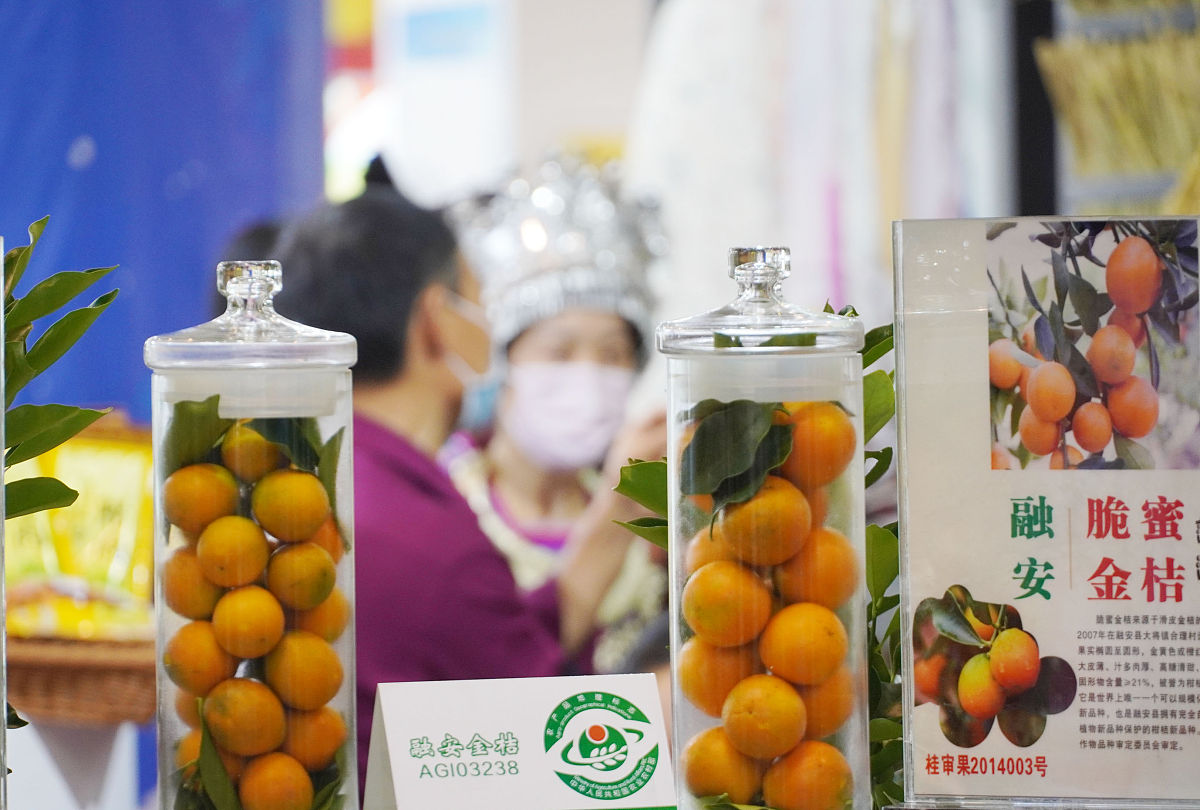 “黄金果”闪耀村BA：金果兴农枇杷汁征服味蕾