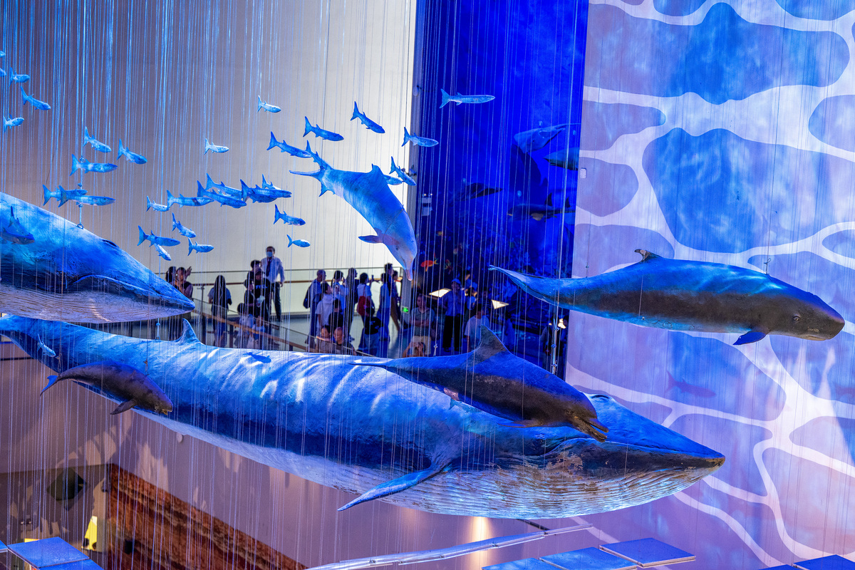 基于海洋文化艺术中心传承的研学随感1000字