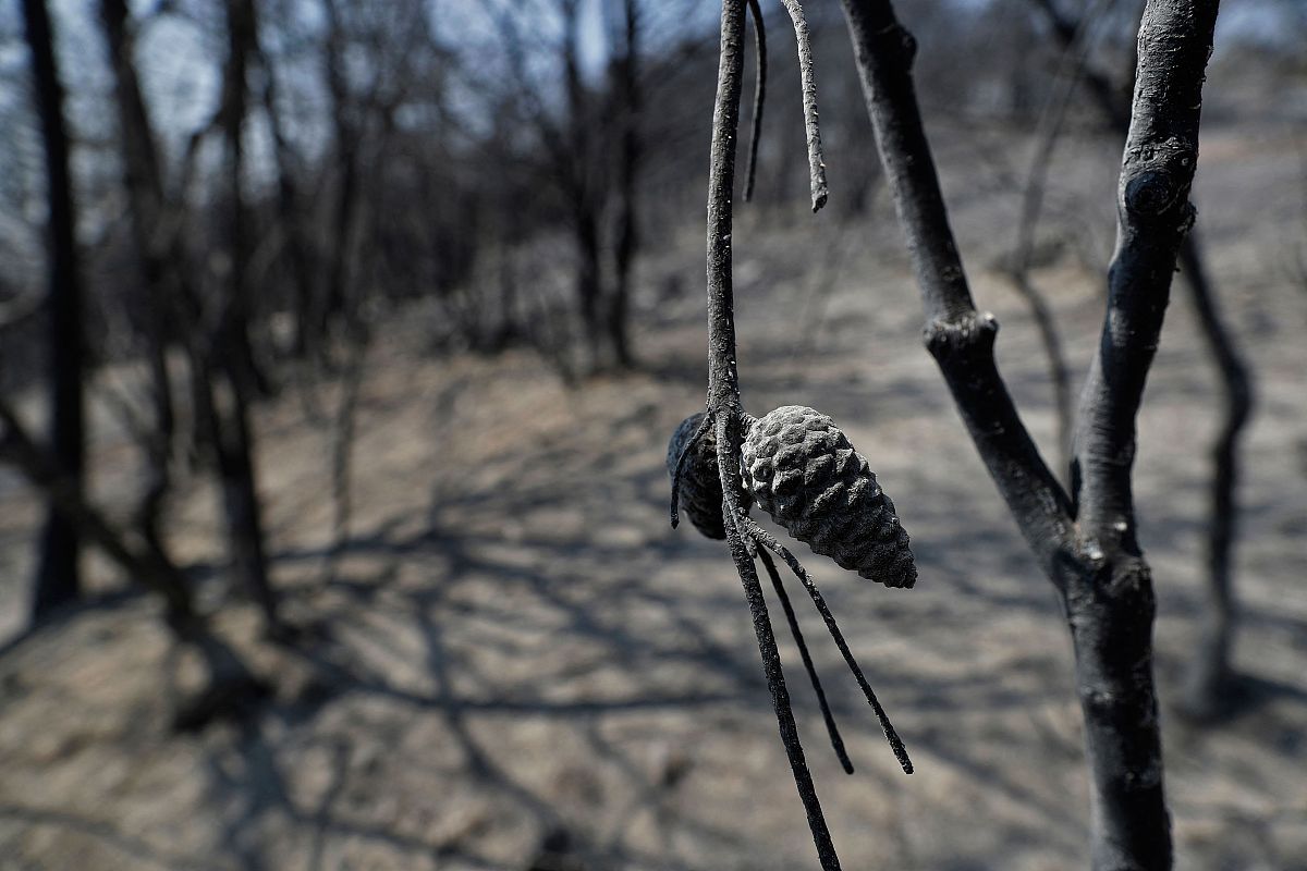 Akka BroadcastHub 实现 Sink.fromPublisher？