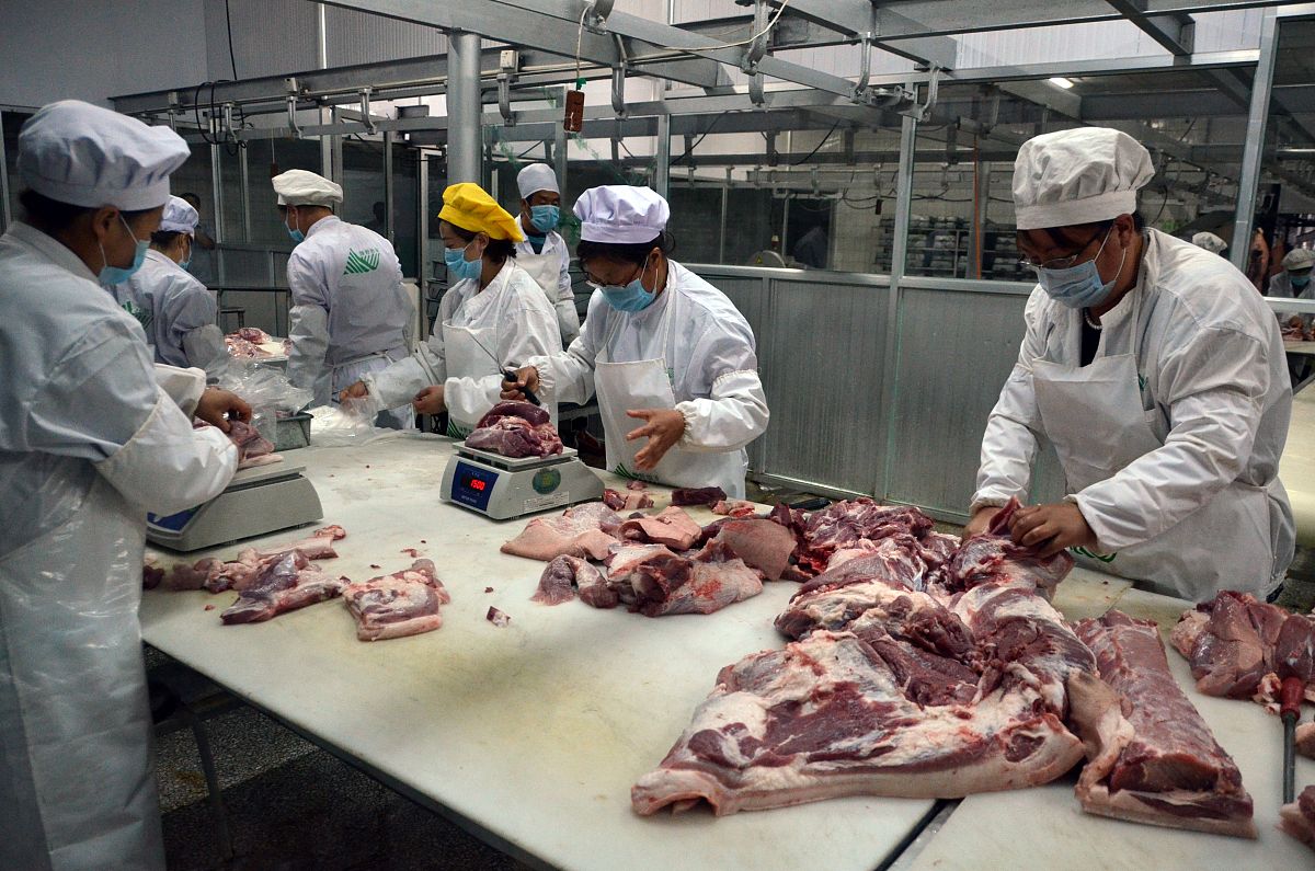 工业肉是什么意思_词语工业肉的意思