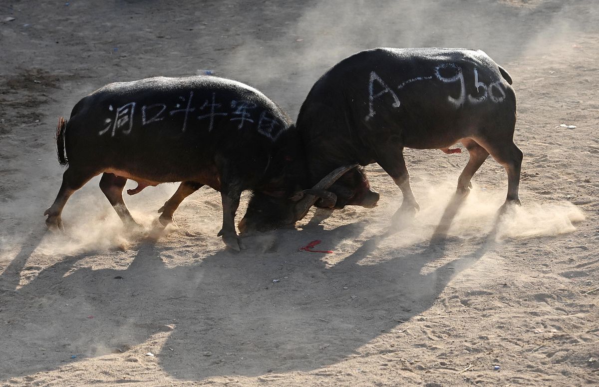 贵阳不要分数的卫校有哪些用发