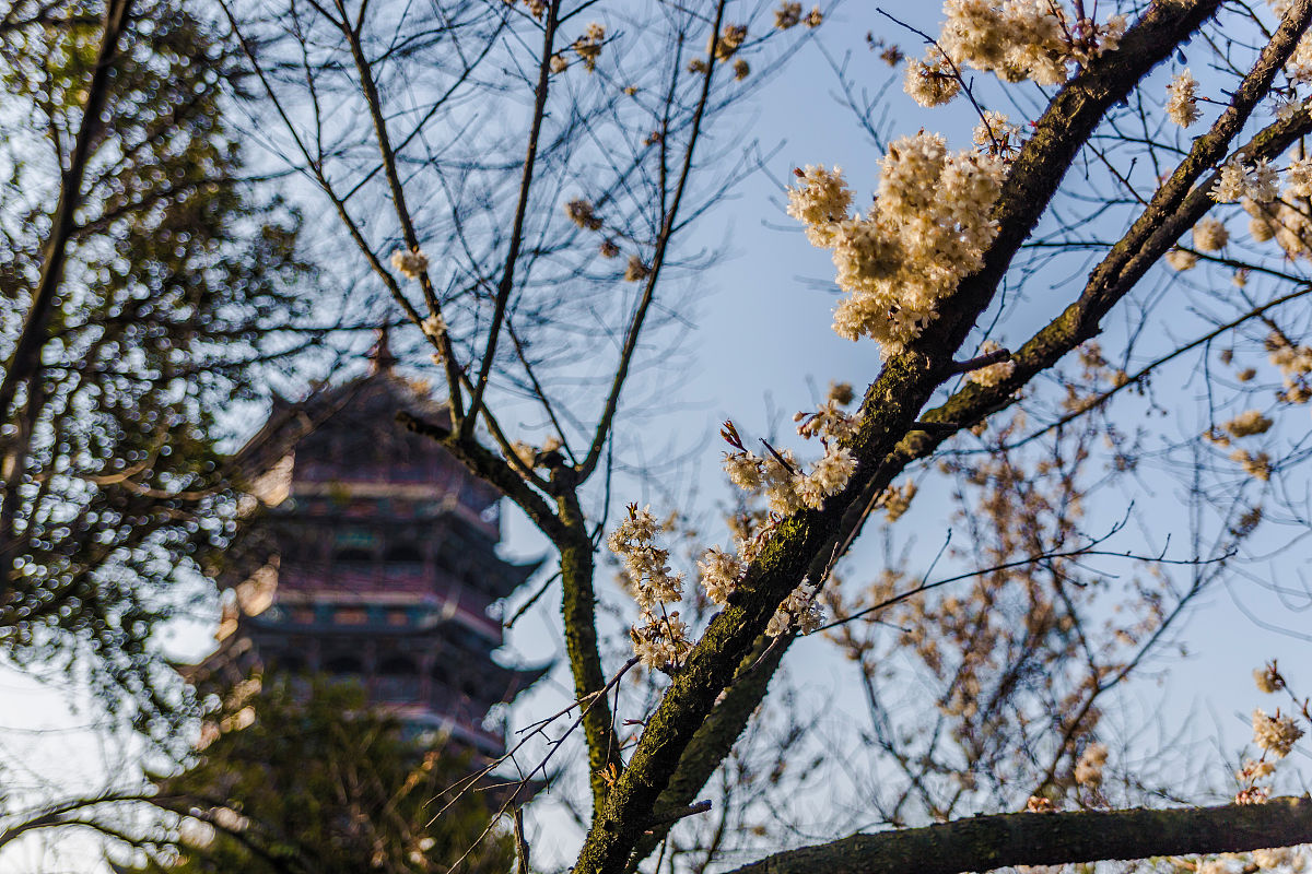 都江堰职业中学2019招生简介