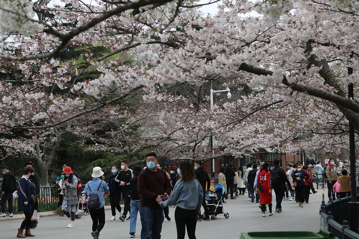 帮我想十个微信ID不是昵称。要有含义的不是昵称哦是id