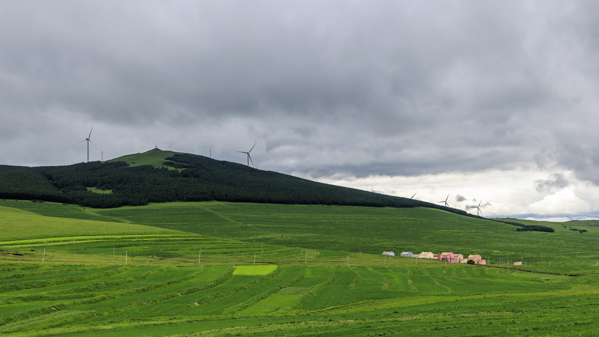 天津周边高山草甸：崇礼高山草甸国家级自然保护区