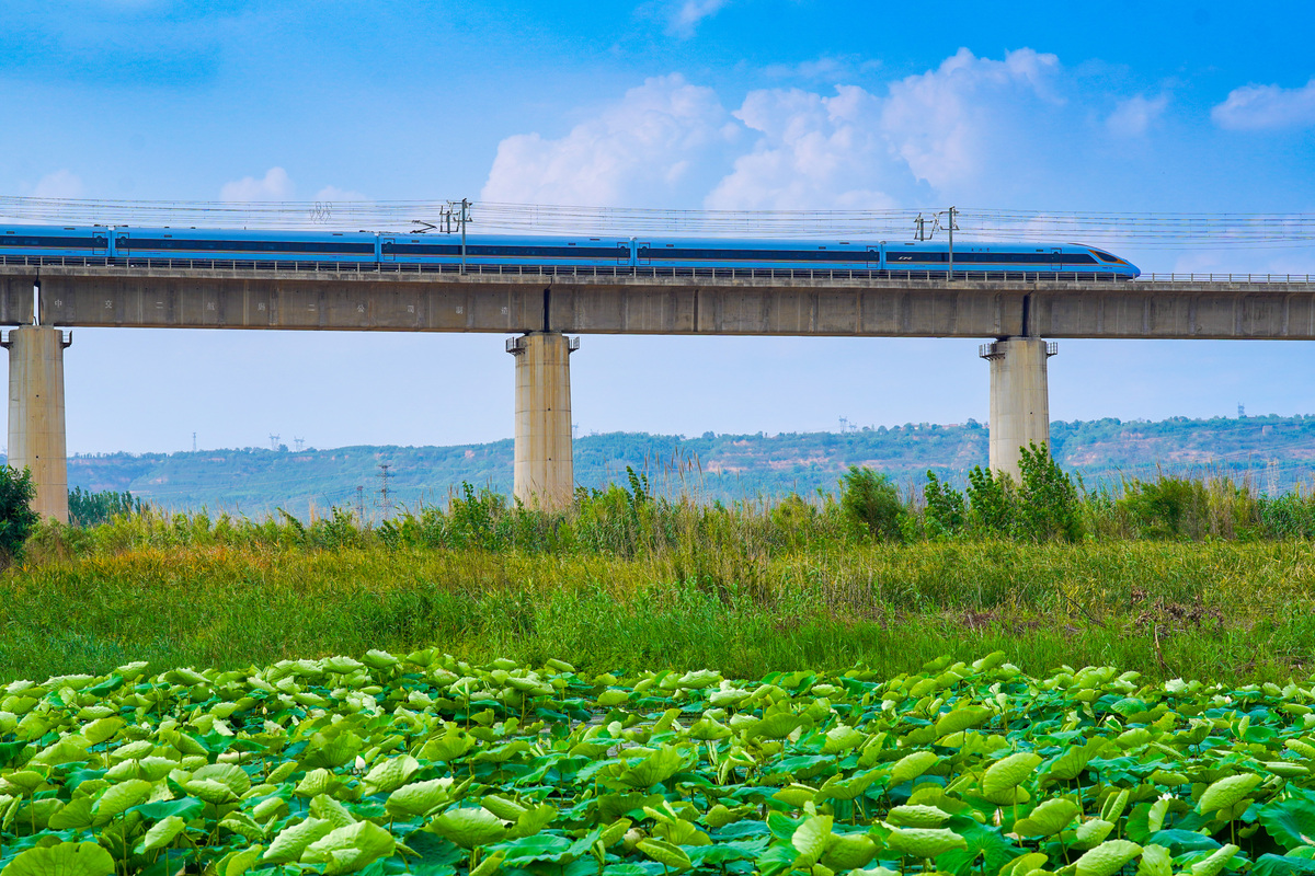 高铁和动车的区别是什么？