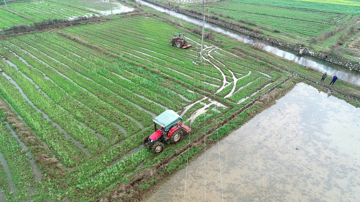 2021年南昌3+2的大专学校有哪些