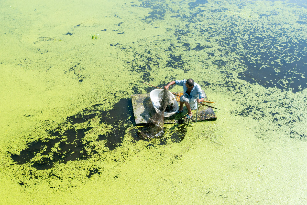 溢油污染：危害、防治和清理