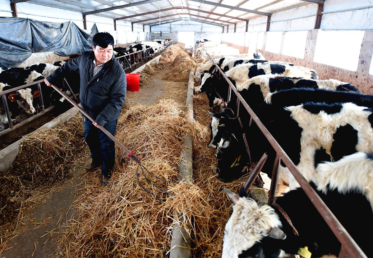 特种动物养殖专科就业前景好不好？