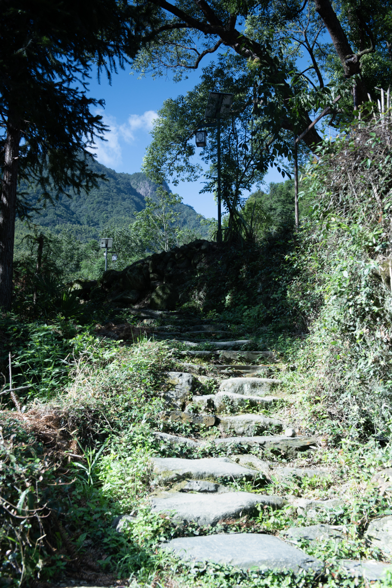 登上山顶,视野开阔,万泉河风光尽收眼底,远处的村庄,田野,河流构成