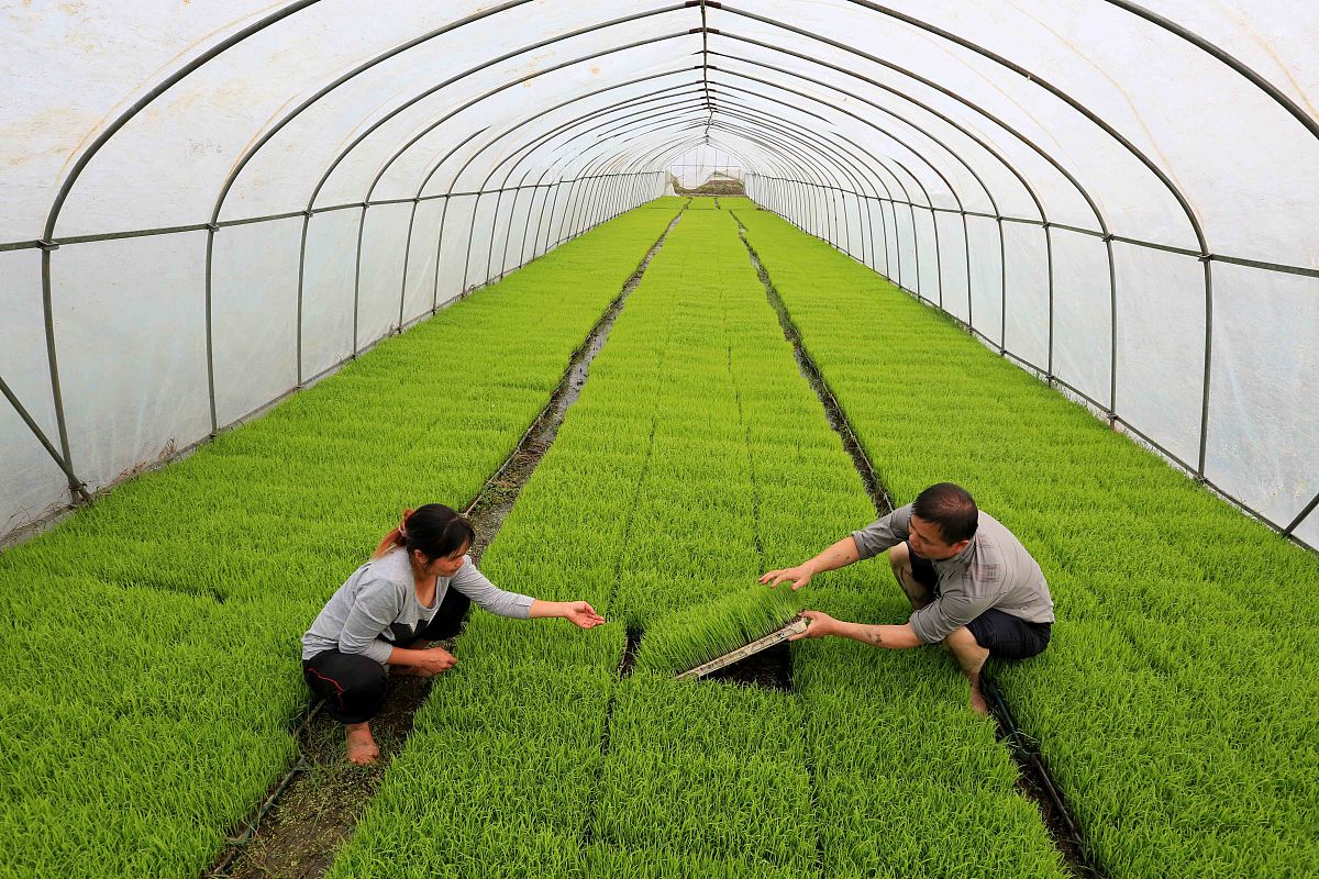 余姚市第二职业技术学校设施农业生产技术专业好不好