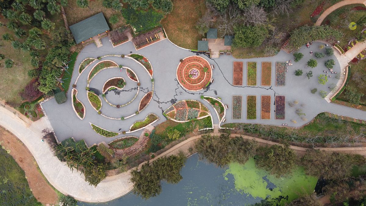 蓝田职业教育中心园林技术专业怎么样