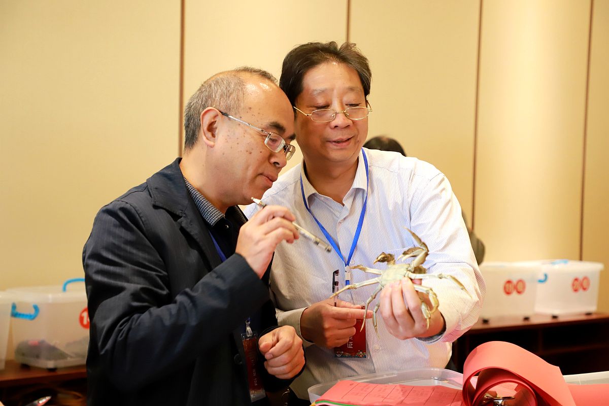 2018年10月27日,江西九江,彭泽县"首届农民丰收节暨第二届鄱阳湖清水