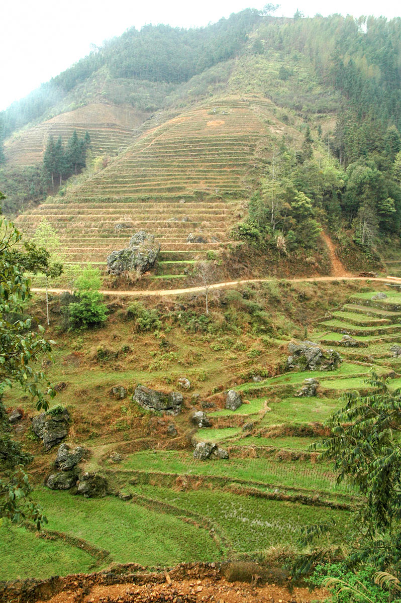 绥阳县土壤类型