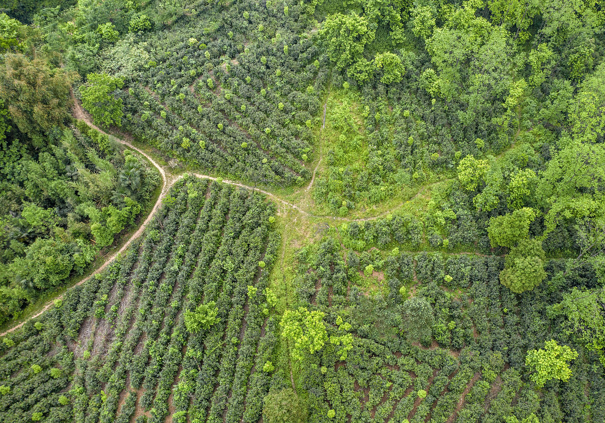 成都幼师专业就业前景如何用发