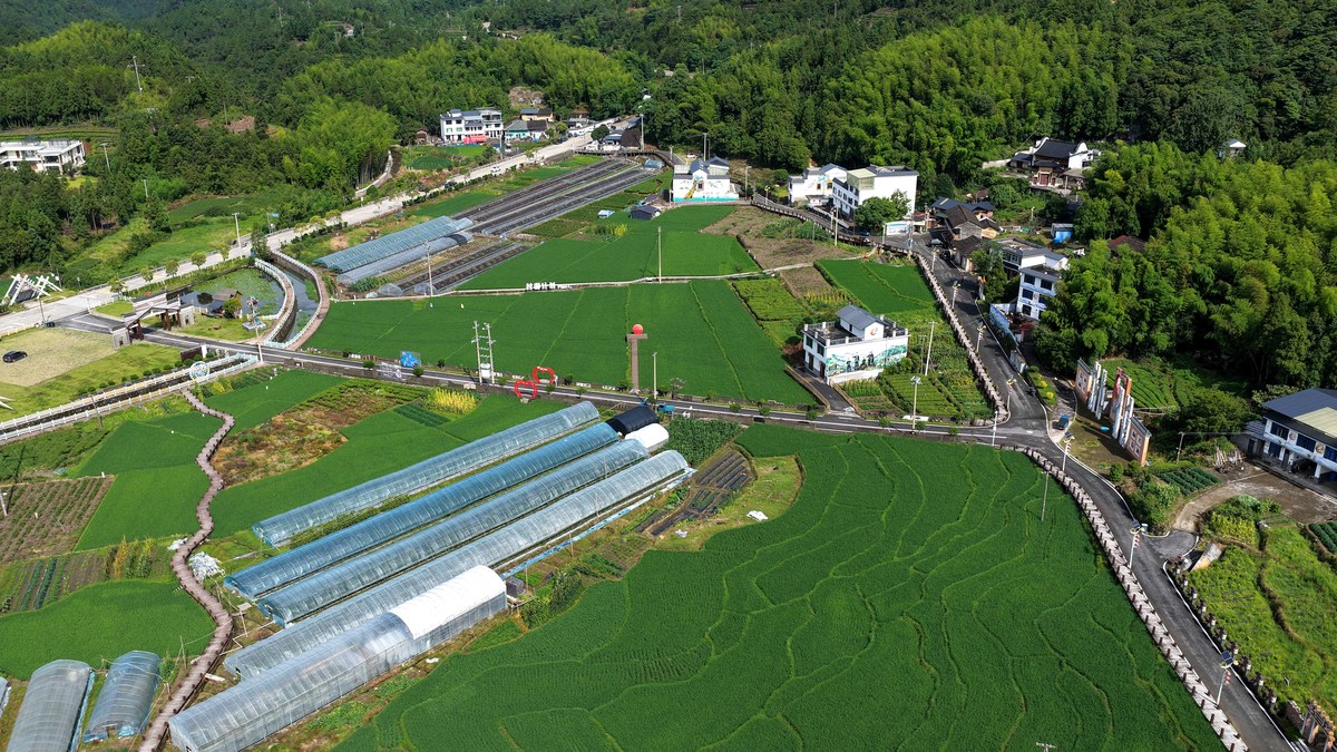 乡村振兴：如何改善村庄工业建设？