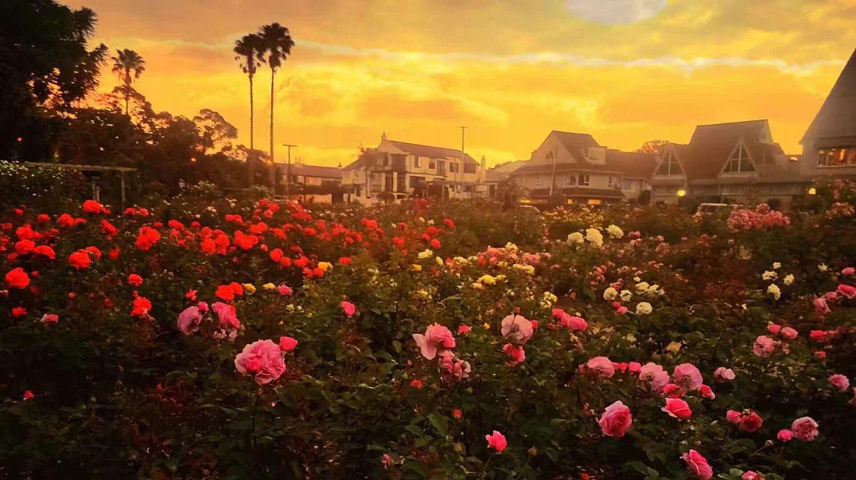 日照工业学校2021年招生简章：培养技术人才，成就未来梦想