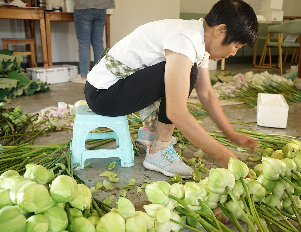 表2 主要电商搜索商洛核桃结果电商平台	商洛核桃搜索结果数量天猫	11淘宝	362京东商城	68苏宁易购	6亚马逊	0结合以上数据内容写一篇关于商洛核桃产品营销现状不得少于800字。