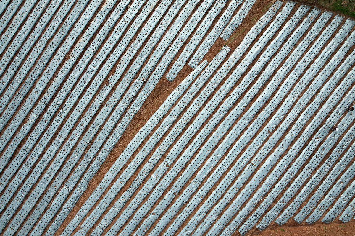 四川初中毕业生如何选择适合的中专学校？2022年入学指南