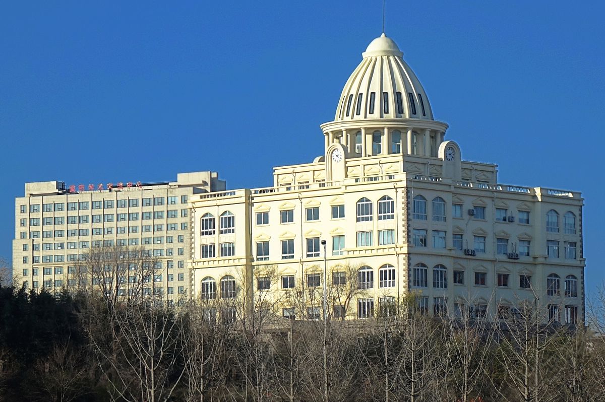 青岛哪所学校可以学船舶驾驶？