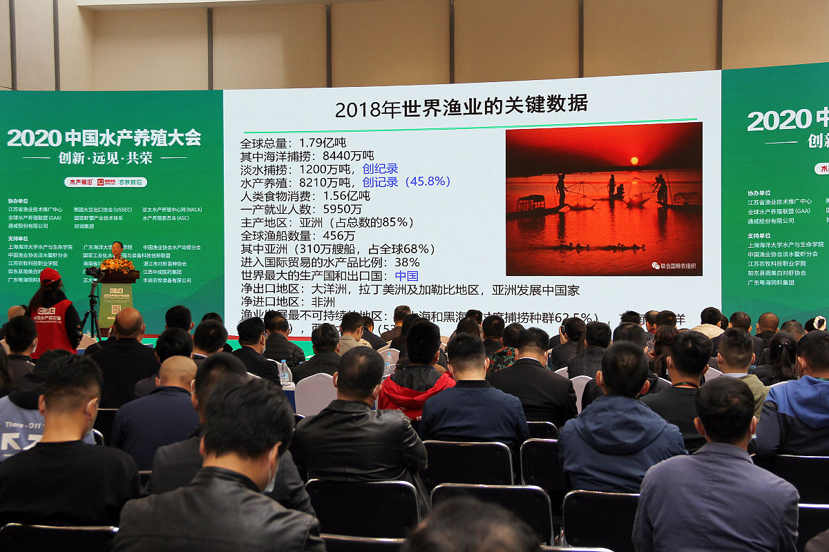 会展策划与管理专科课程：全面掌握行业知识和技能