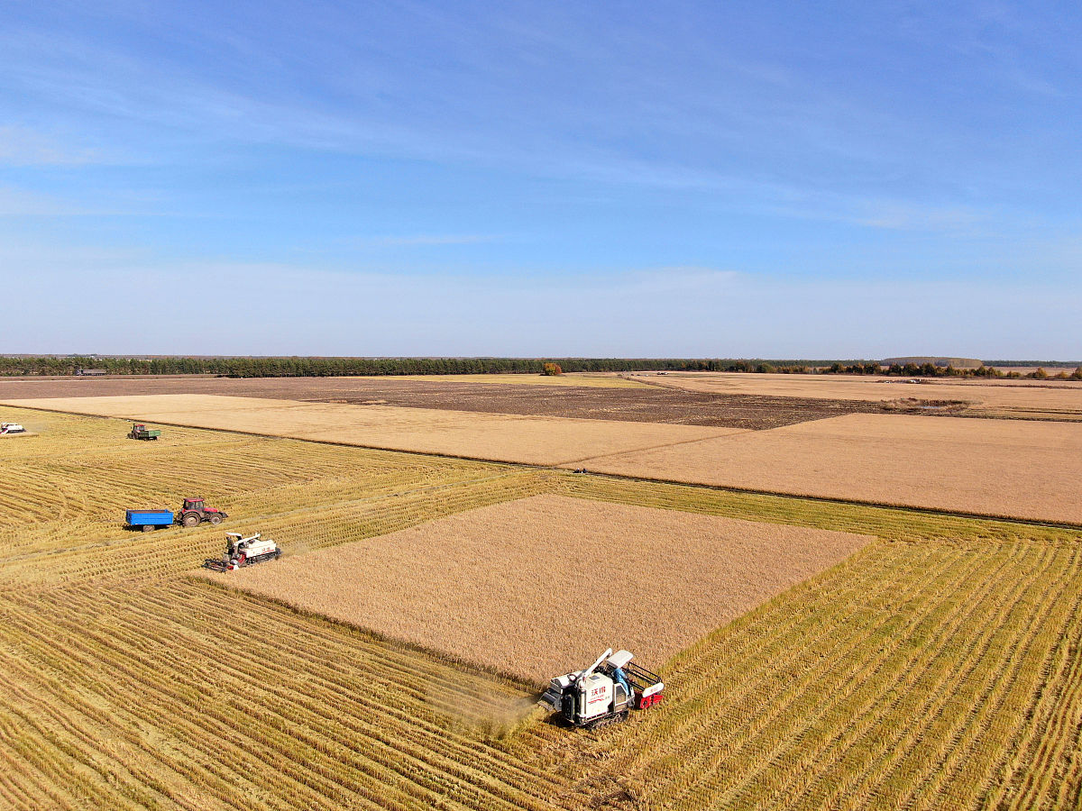 黑龙江农垦职业学院计算机网络技术专业优势怎么样发展前景好不好呢