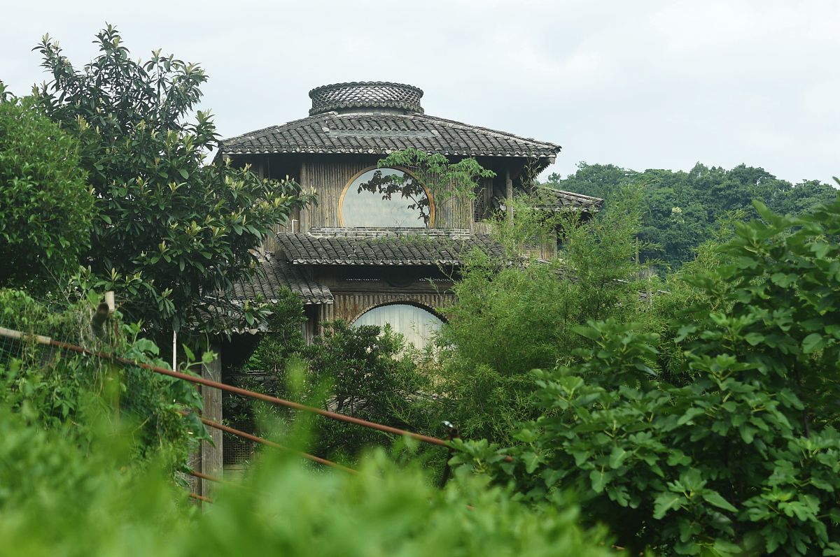 宫崎骏漫画和摄影的关系