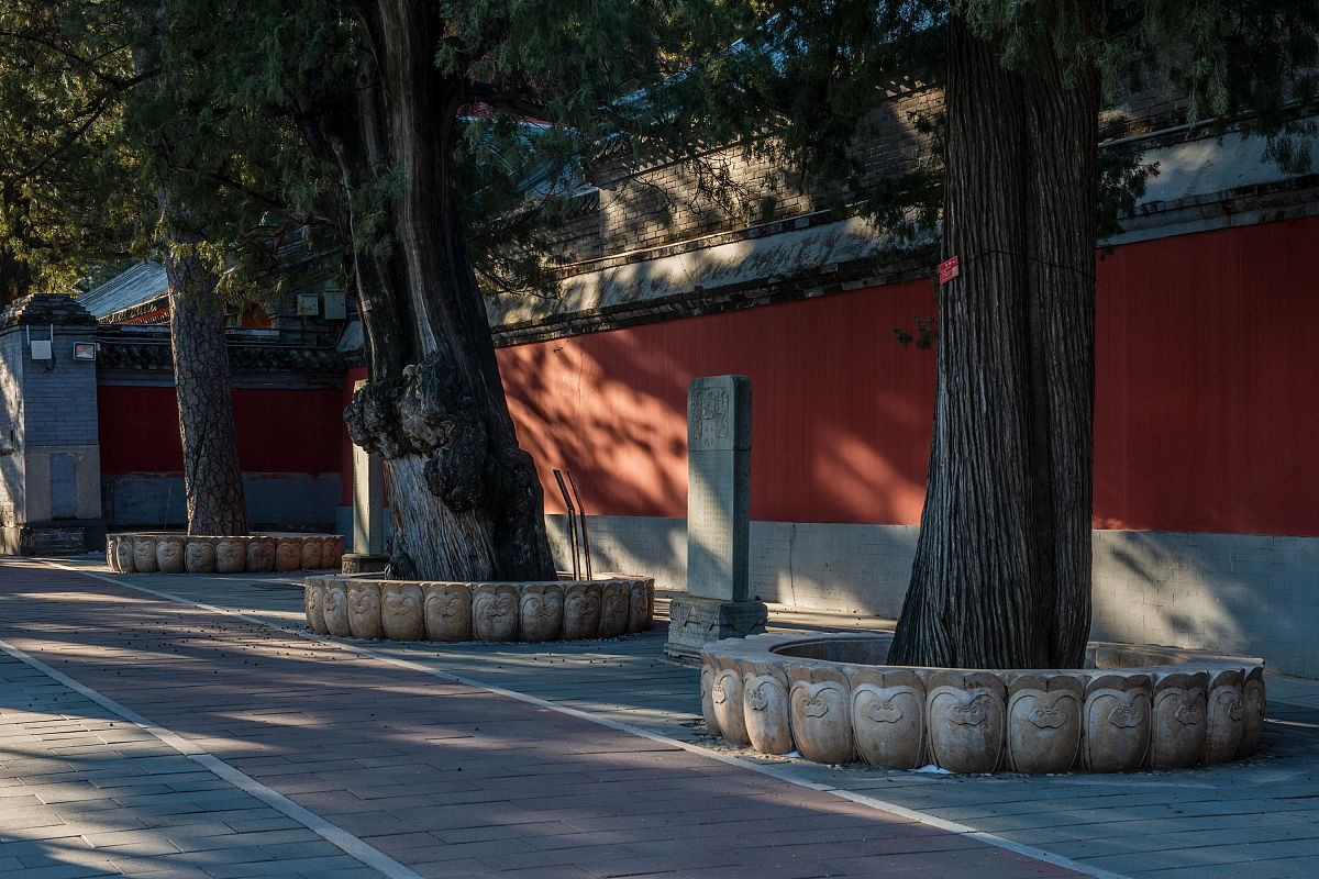2019年12月7月,北京戒台寺,中国北方保存辽代文物最多,最完整的寺院.