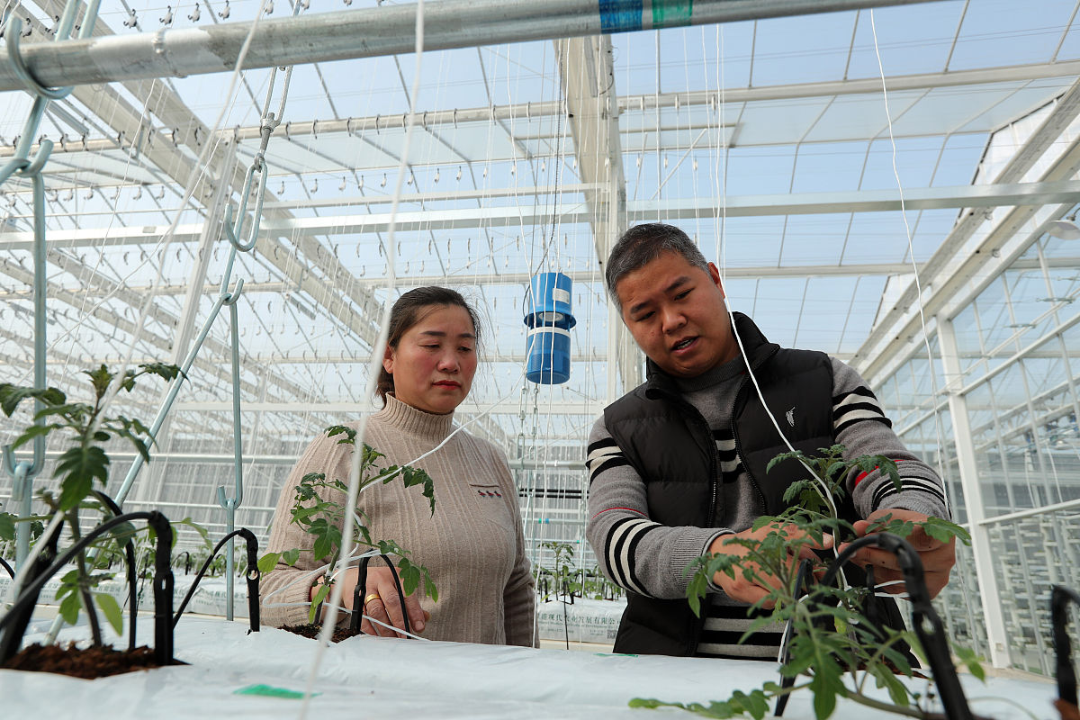 安徽科技学院财务会计教育专业怎么样
