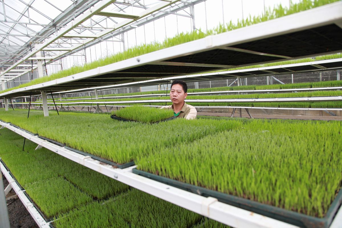 重庆农业机械化学校专业设置详解：哪些专业值得学？