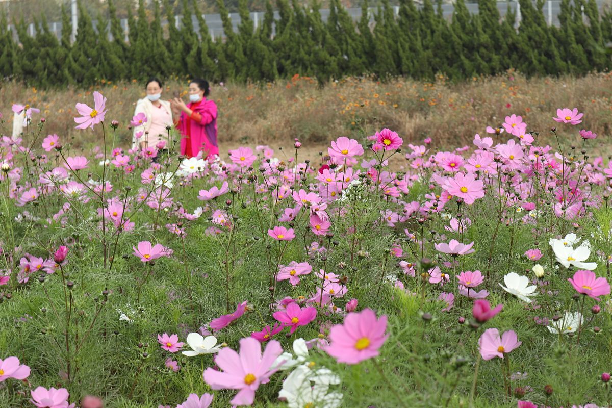 青岛港湾铁路职业技术学院官网 - www.qdport.edu.cn