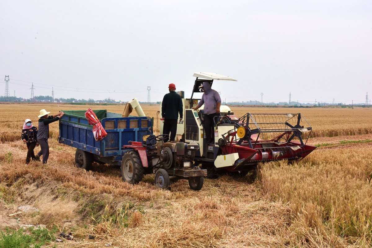 水稻不同收割机的优点