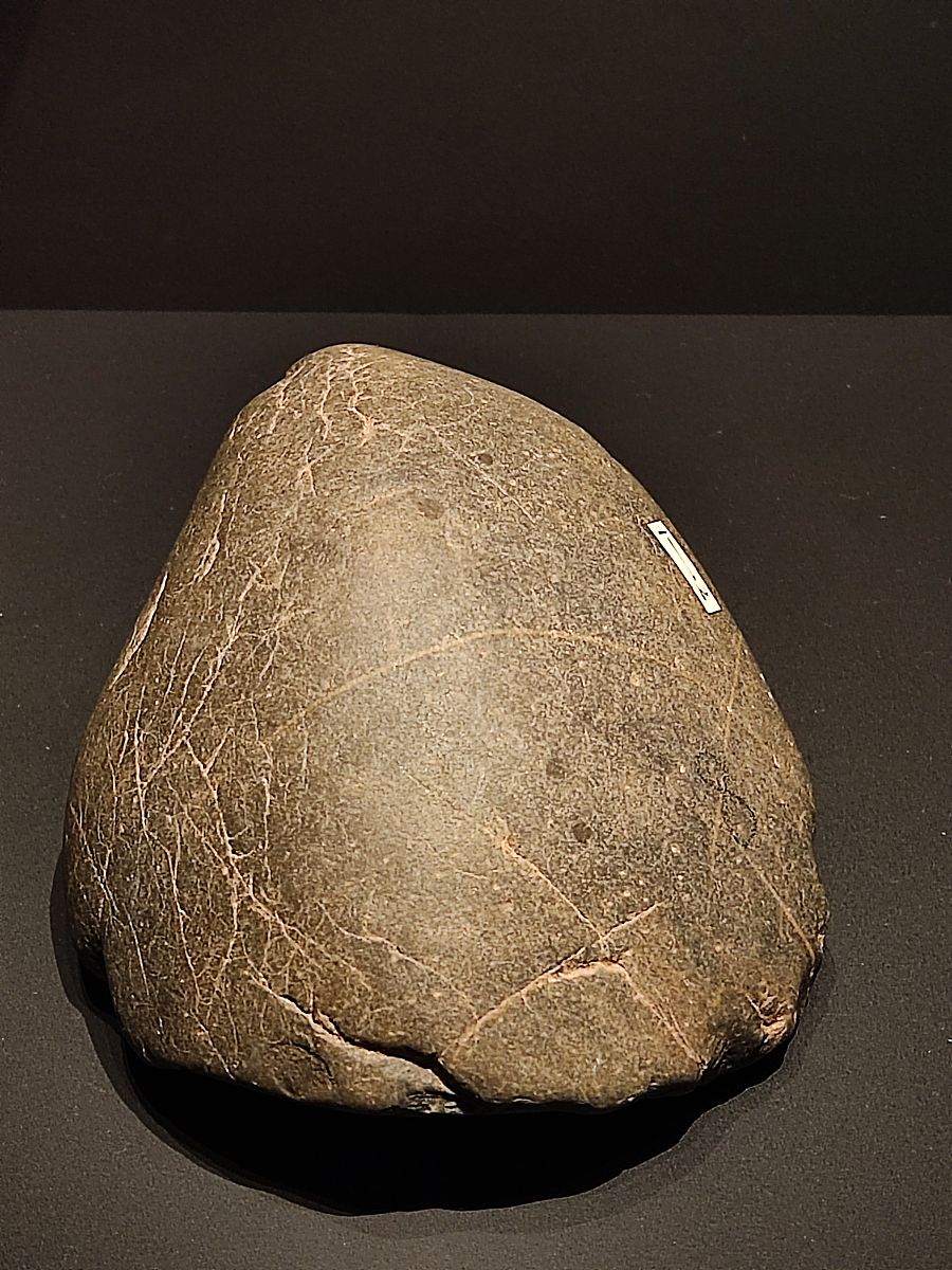 火星如果发现生物化石