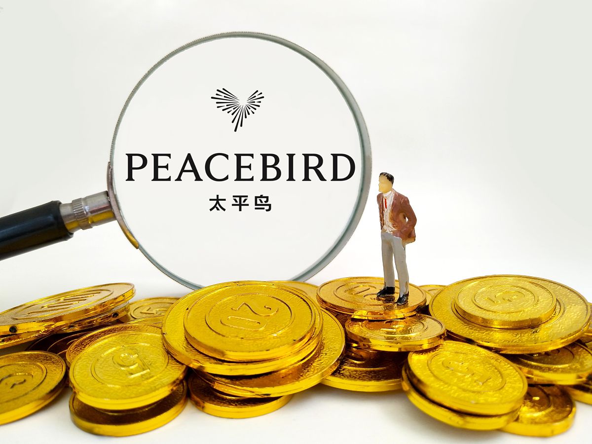商业配图:太平鸟
